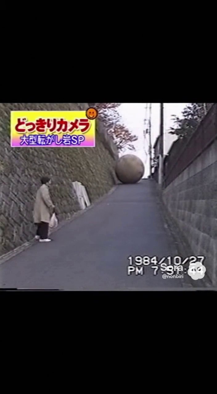 おもしろバラエティ動画の最新動画